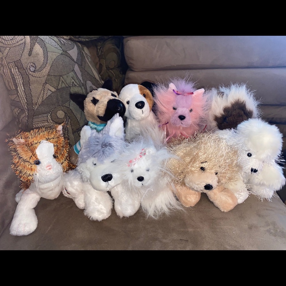 Webkinz